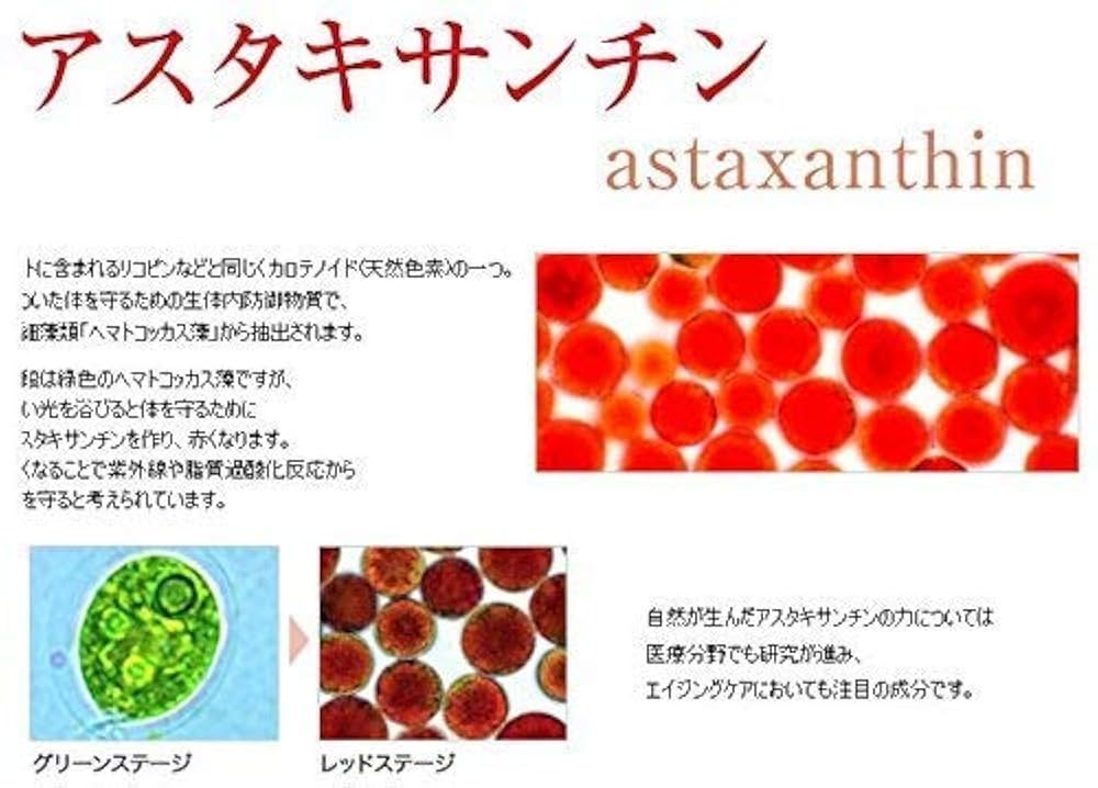 Amazon | アスタリズムトニック スカルプケアベースローション